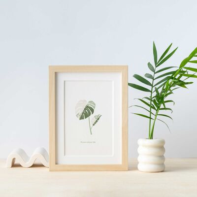 Monstera Albo - Stampa artistica