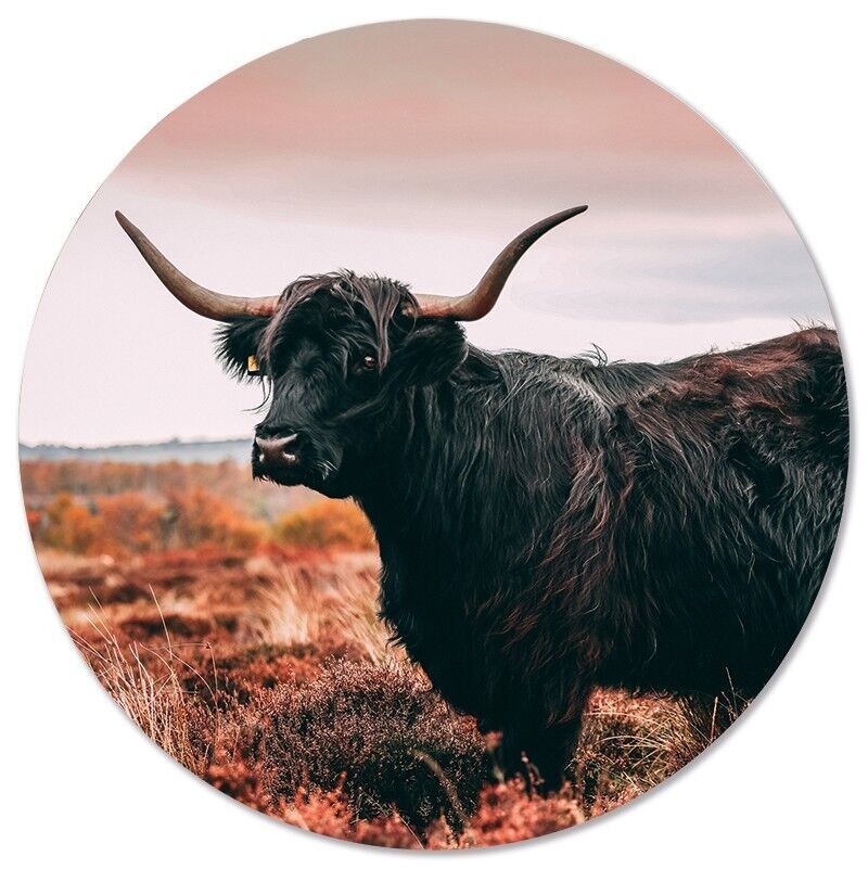 Highlander circolare da parete - Ø 40 cm - Dibond - Consigliato