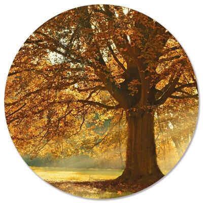 Árbol de otoño círculo de pared - Ø 40 cm - Dibond - Recomendado