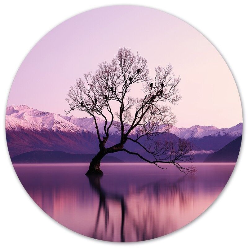 Winterwasserwandkreis - Ø 12 cm - Forex