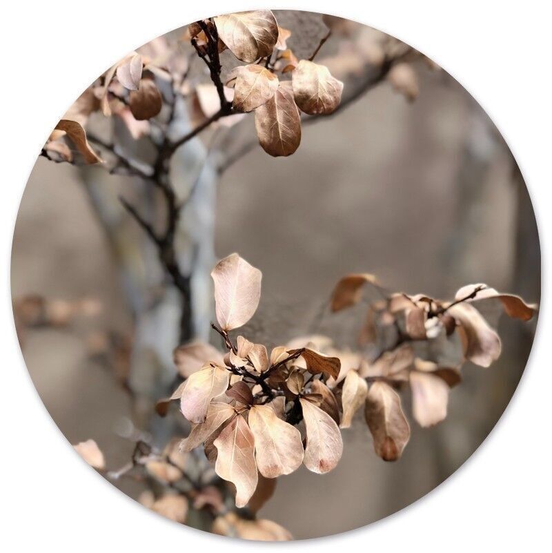 Cerchio da parete sfumato - Ø 12 cm - Forex