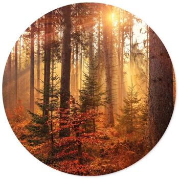 Cercle mural forêt - Ø 12 cm - Forex