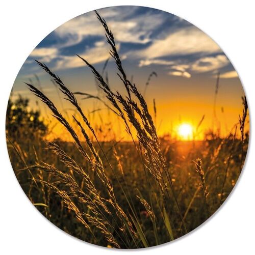 Muurcirkel grass sun - Ø 12 cm - Dibond - Aanbevolen