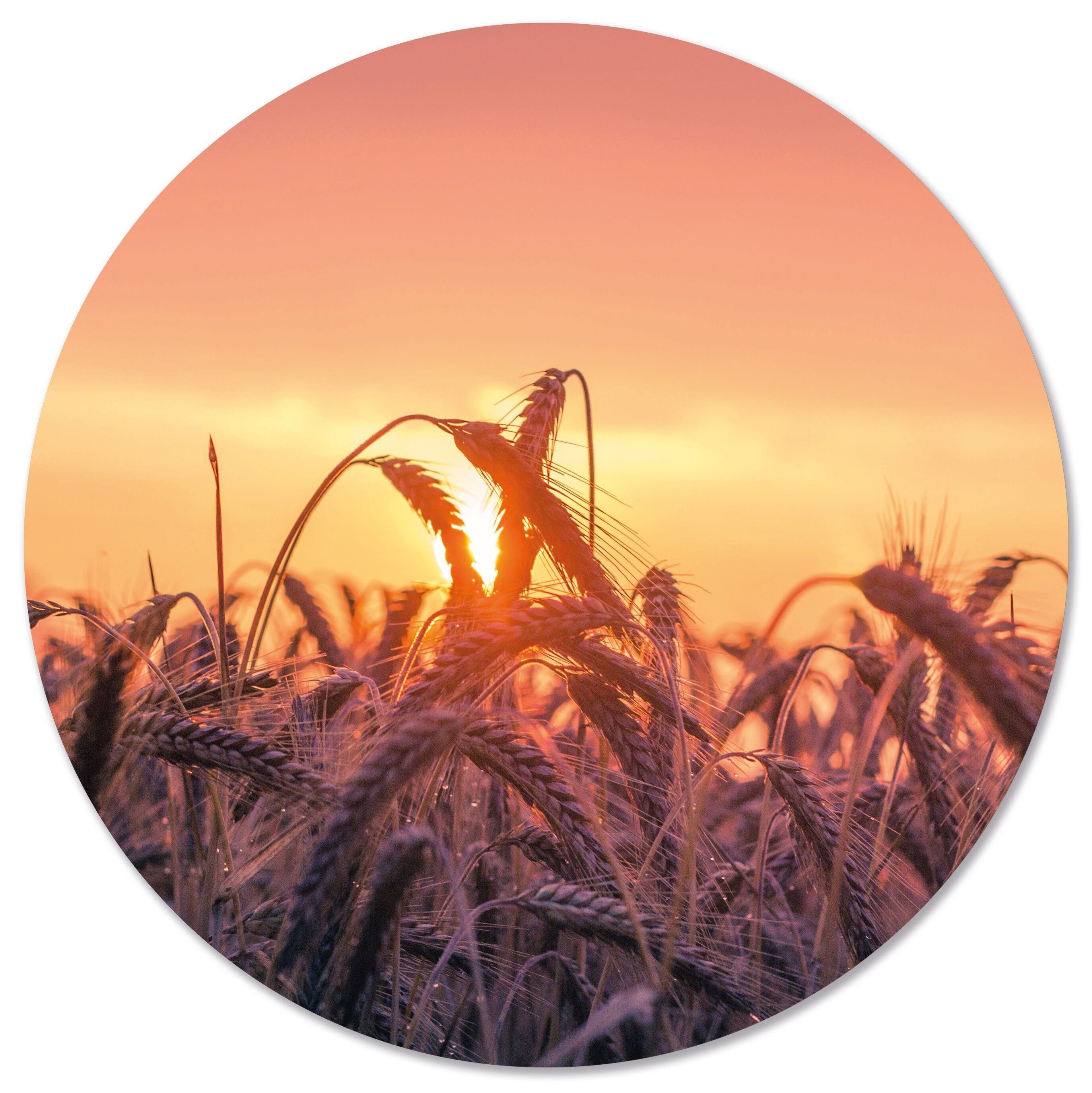 Cerchio da parete tramonto - Ø 12 cm - Dibond - Consigliato