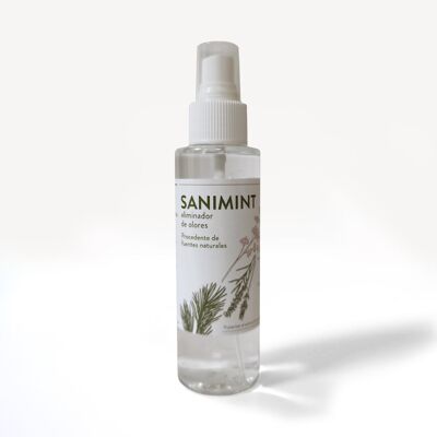 SaniMint-Spray - 1 L