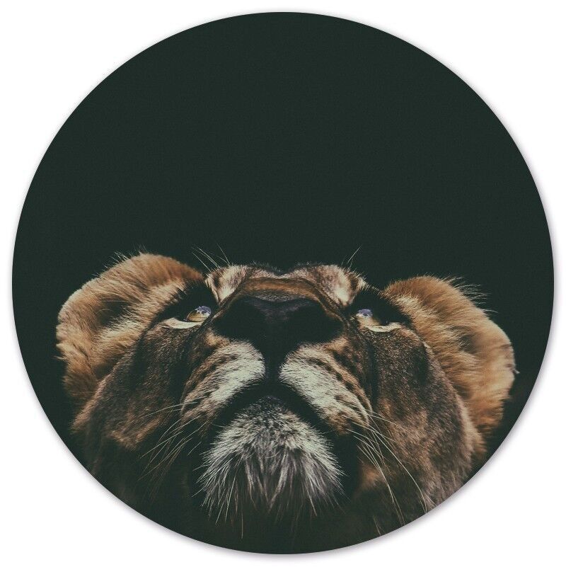 Cercle mural mini lion - Ø 12 cm - Dibond - Recommandé
