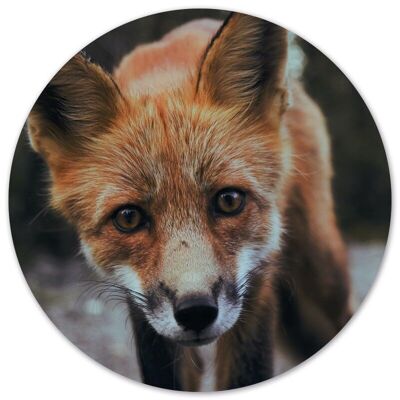 Wall circle fox - Ø 12 cm - Dibond - Recommended