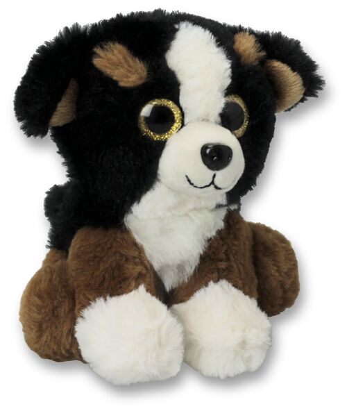 Berner Sennhundbaby Glitzeraugen 15 cm