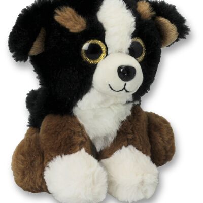 Berner Sennhundbaby Glitzeraugen 15 cm