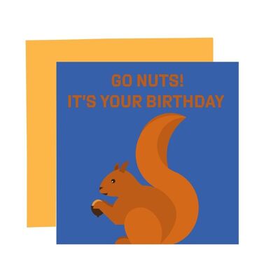 Squirrel card.Squirrel birthday card.Bright cards.1st birthday. Happy birthday card. eco cards.animal illustration cards.fun birthday card