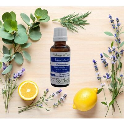 Respiratory Diffuser Blend - Air and Breath Purification - Room Fragrance