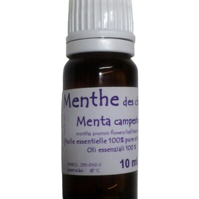 Olio essenziale di menta campestre