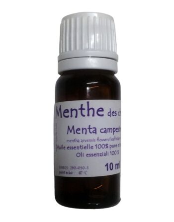 Huile essentielle de menthe des champs