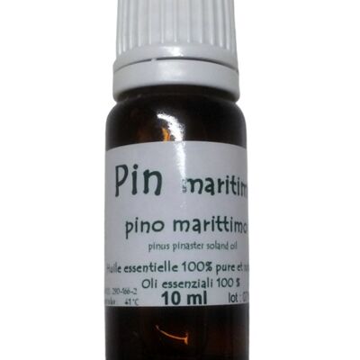 Maritime pine essential oil