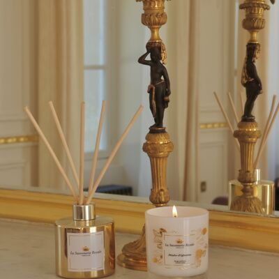 Limited edition scented candle - Rosehip petals