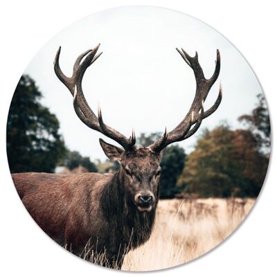 Wall circle deer - Ø 20 cm - Forex