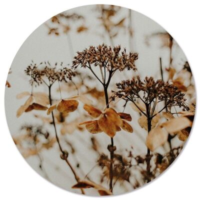 Wall circle dried flower - Ø 20 cm - Forex