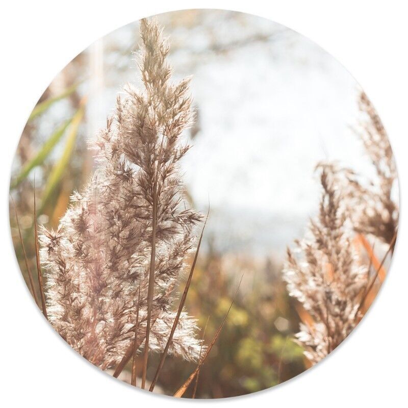 Herbe de cercle mural - Ø 20 cm - Forex