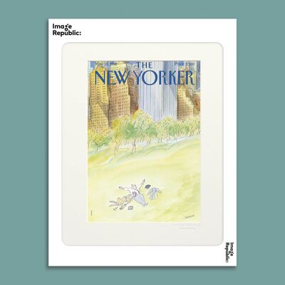 AFFICHE 30x40 cm THE NEWYORKER 12 SEMPE 50943