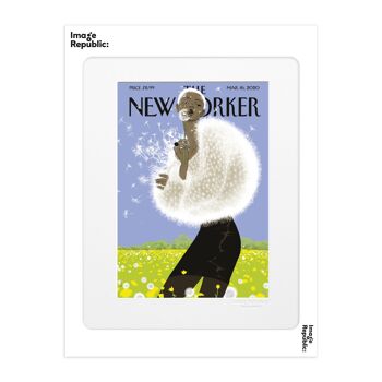 AFFICHE 30x40 cm THE NEWYORKER 213 TOMER MARCH 16 2020 147316 3