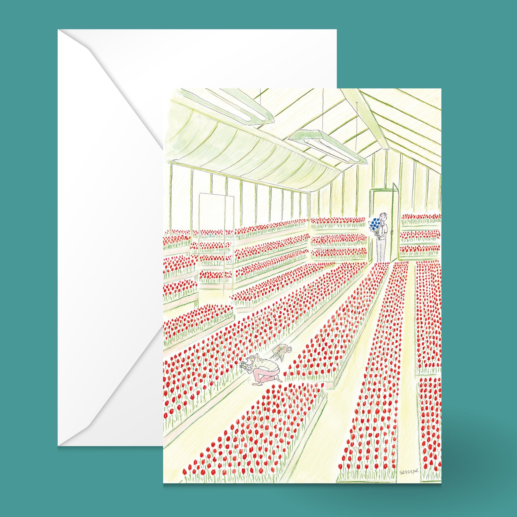 CARTOLINA TULIPANO SEMPE