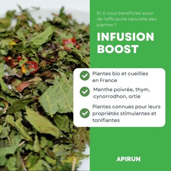 Infusion BOOST 2