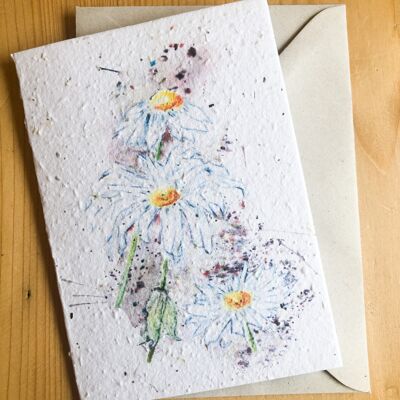 Plantable Seeded Card | Daisy Art Splash A