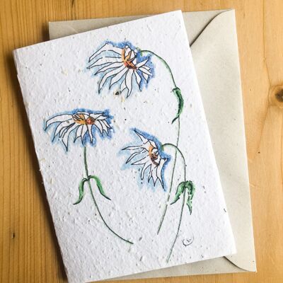 Plantable Seeded Card | Daisy Trio A