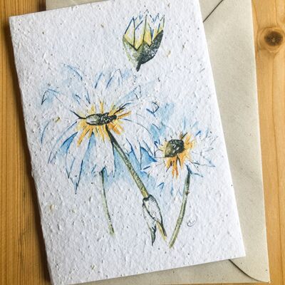 Plantable Seeded Card | Daisy Blue C