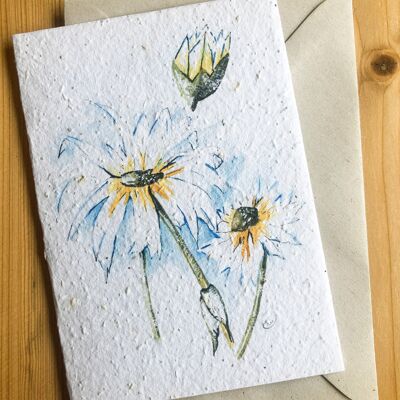 tarjeta sembrada plantable | margarita azul