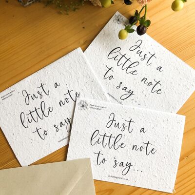 Plantable Seeded Notecards | Just A Little Note - Pack of 6