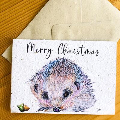 Plantable Seeded Card | Merry Christmas Hedgehog C