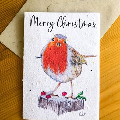 Plantable Seeded Card | Merry Christmas Robin J