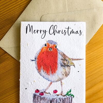Pflanzbare Samenkarte | Frohe Weihnachten Robin I
