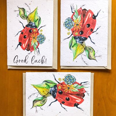 Plantable Seeded Card | Ladybird Design B