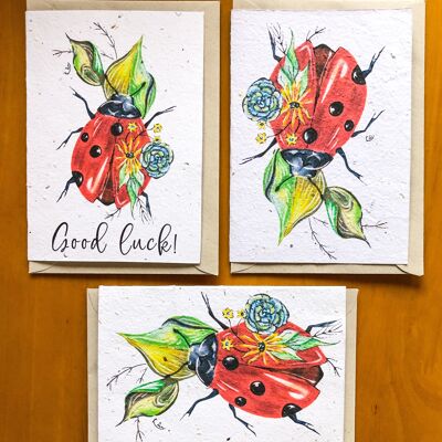 Plantable Seeded Card | Ladybird Design C