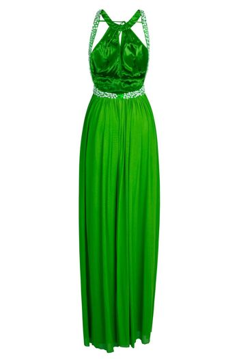 Paypa Vert Maxi Robe Grecque Robe 1