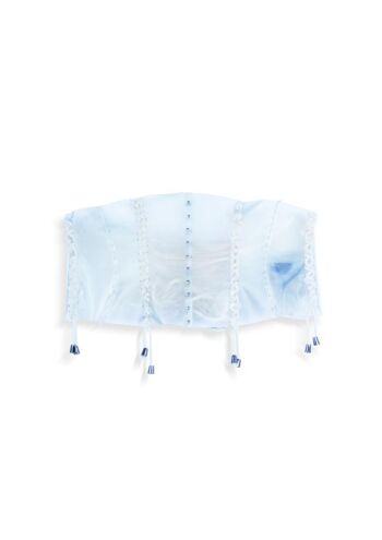 Transparent Waist Cincher 5