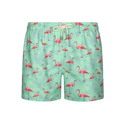BLUE COAST YACHTING Men's Swimsuit Printed Quick Dry Flamingos Green