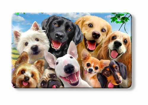 Silly Dogs Selfie on a RFID Myne Card