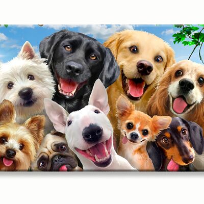 Selfie de perros tontos en una tarjeta RFID Myne