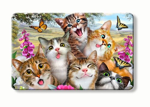 Fun Cats Selfie on a RFID Myne Card