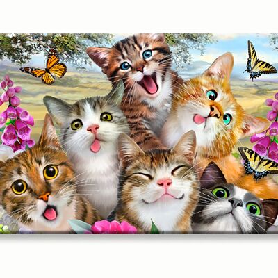 Selfie de gatos divertidos en una tarjeta RFID Myne