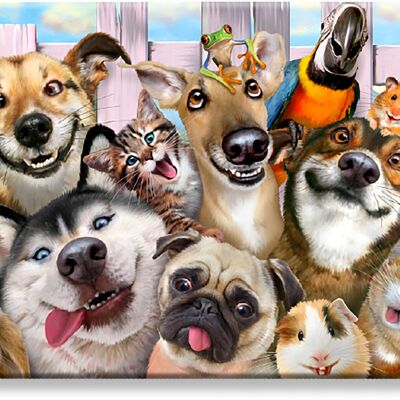 Selfie de tus mascotas favoritas en una tarjeta RFID Myne