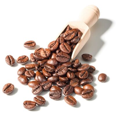 Granos de café peruano orgánico 5kg