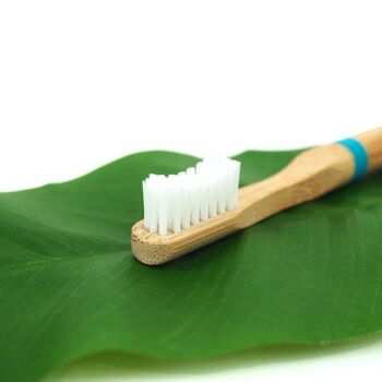 Brosse à dents tête rechargeable en bambou
SOUPLE 3
