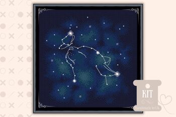 Chat Constellation Kit Point De Croix 1