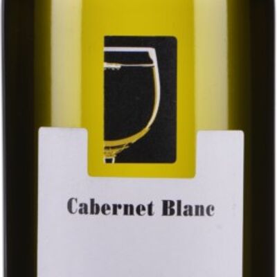 Cabernet Blanc 2023 – Biologico