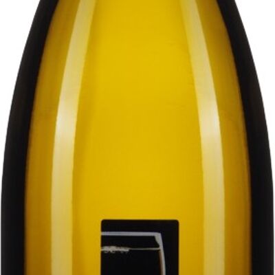 Gewürztraminer Premium 2021 - Orgánico