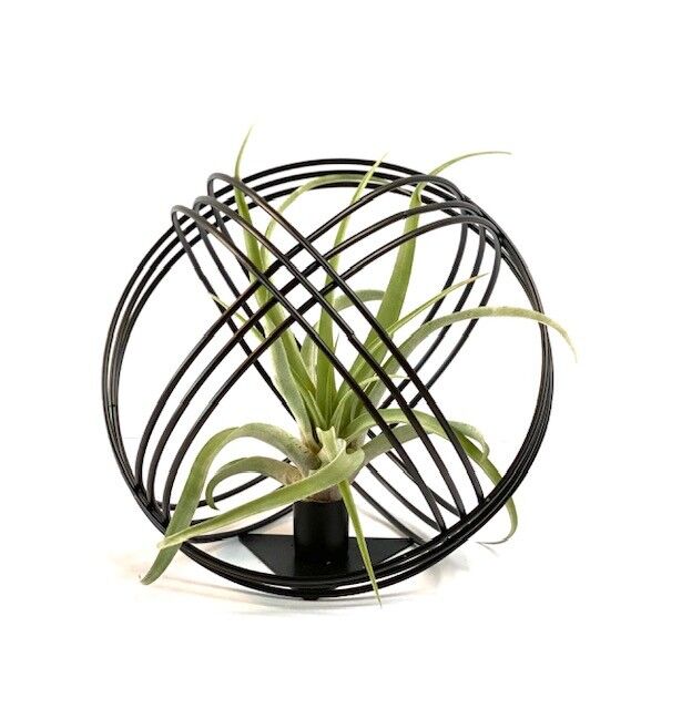 Metal ball black + airplant